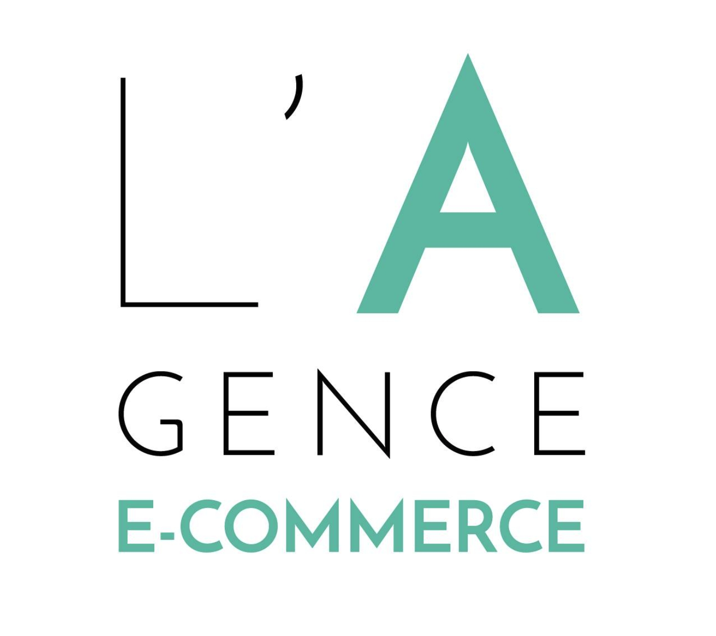 L’AGENCE E-COMMERCE