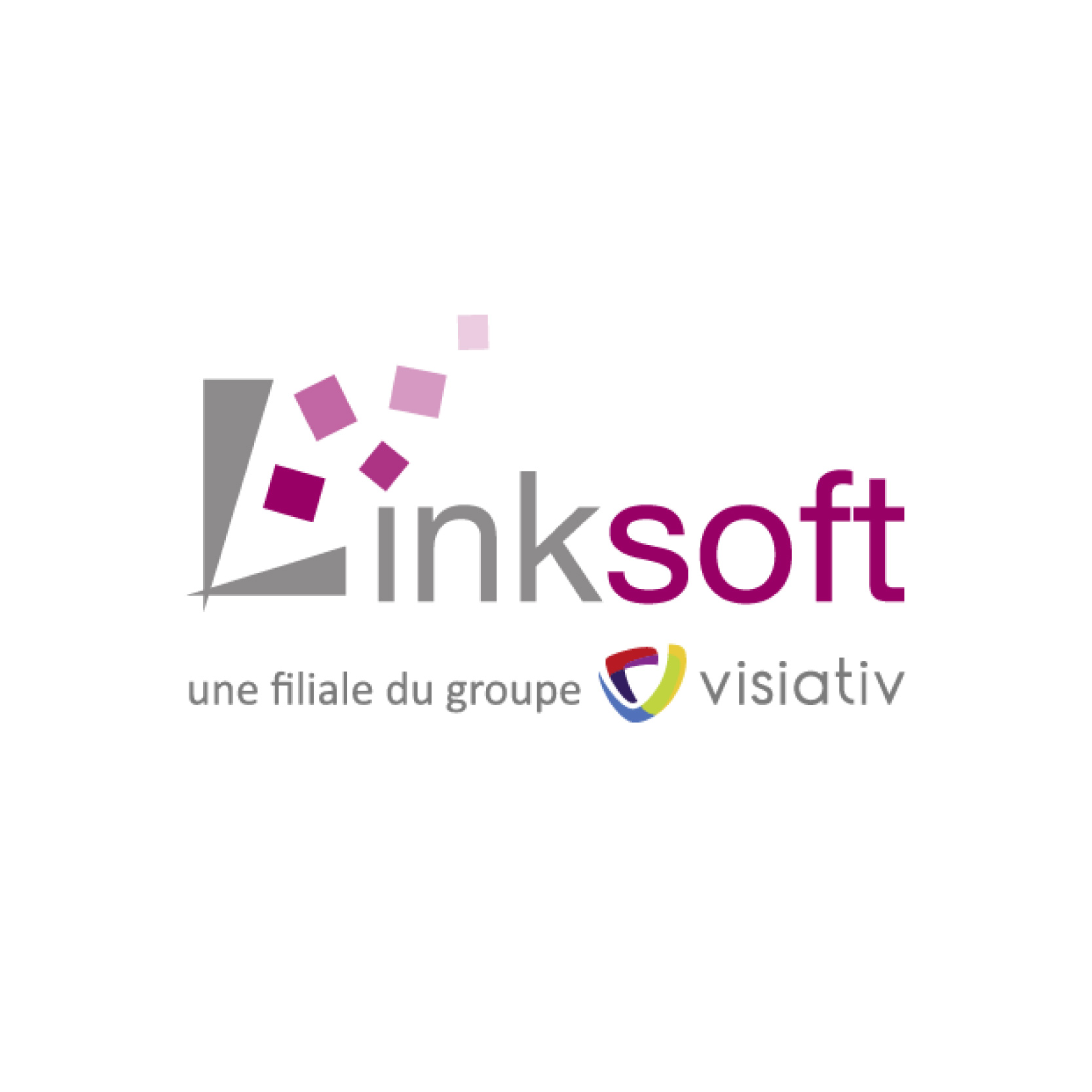 Link Soft